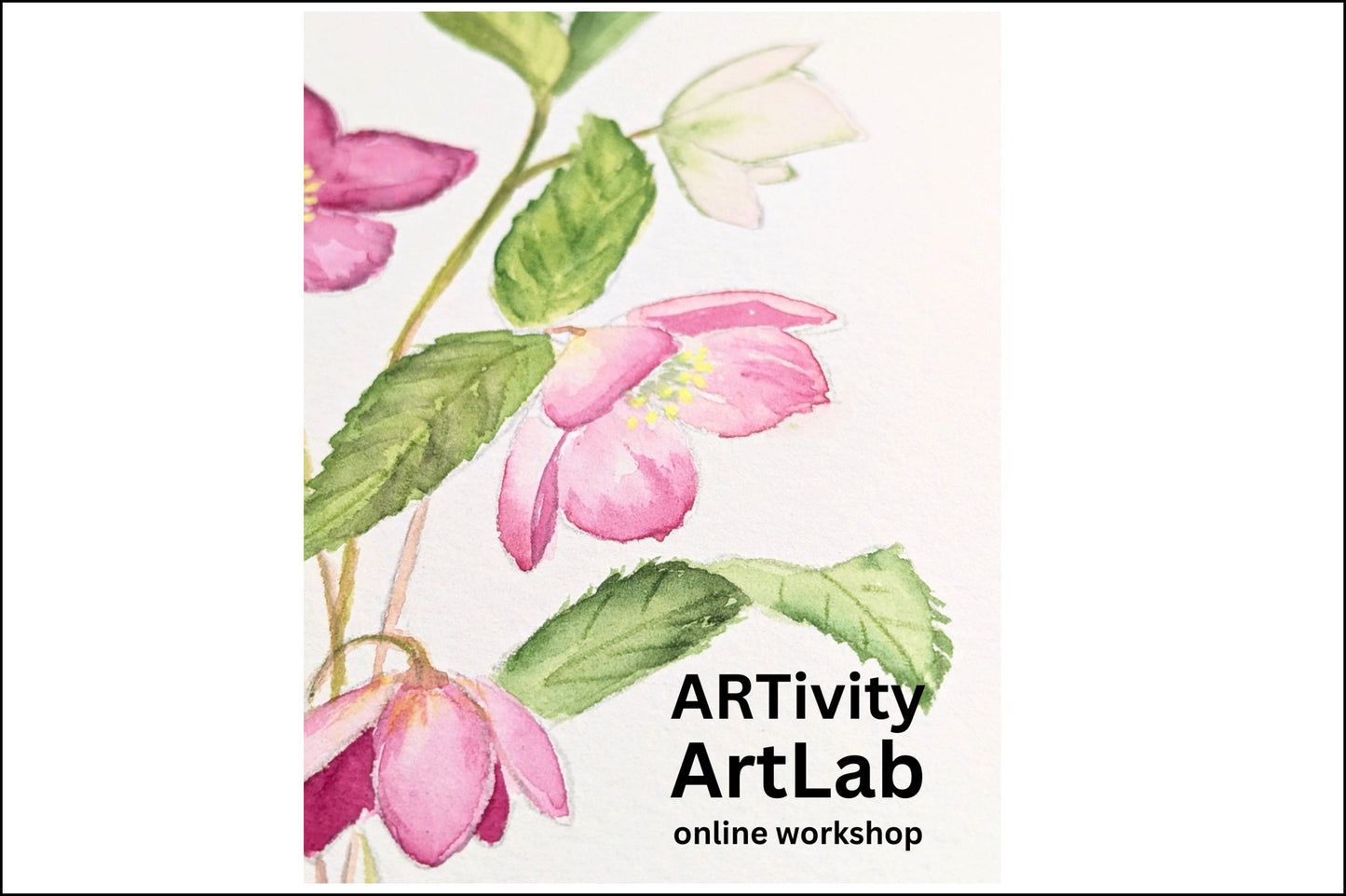 ARTivity ArtLab - Helleborus - Replay