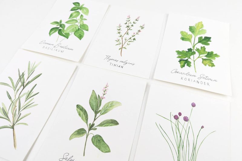 Digital kreativ workshop - artboxen Herbs 1. edition