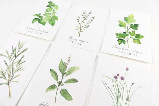 Herbs 1. edition - DIY akvarelkit
