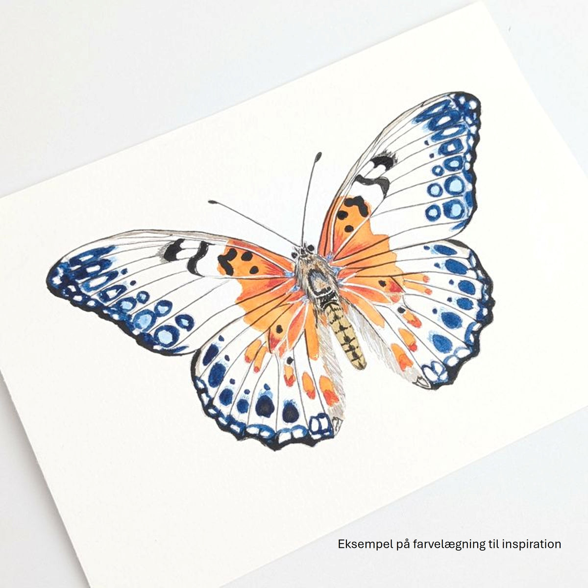 A5 akvarel Mal-selv-kort - BUTTERFLIES