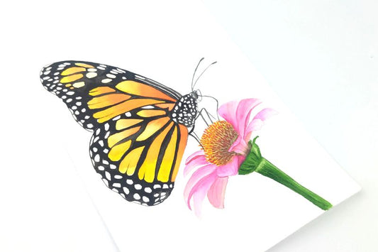 Butterflies - Akvarelkit med sommerfugle