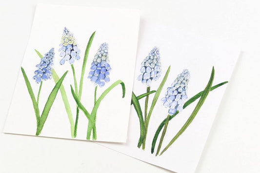 ARTivity ArtLab - PERLEHYRACINTER “Muscari botryoides”