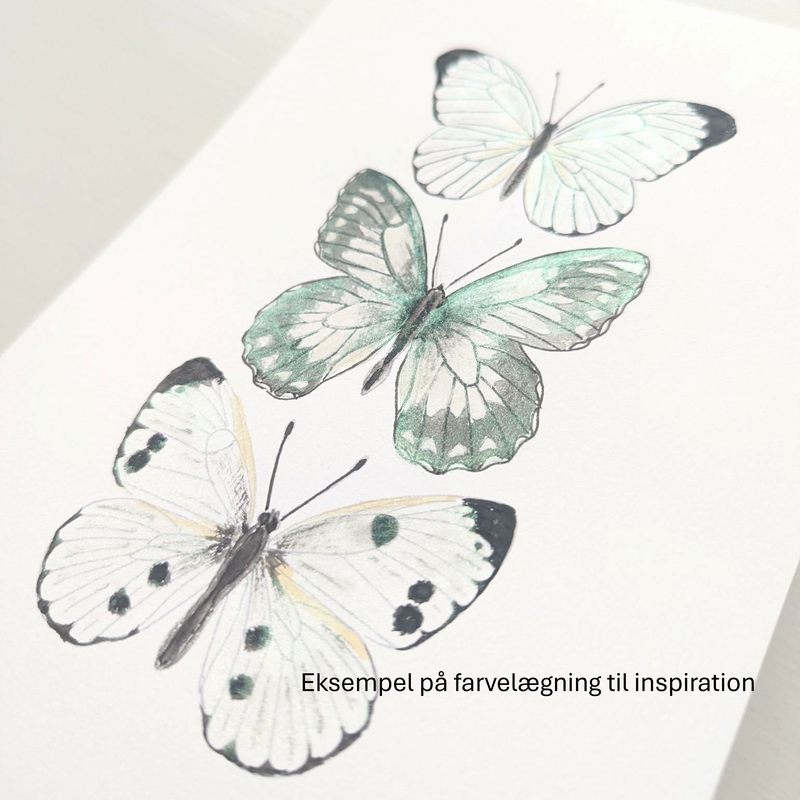 A5 akvarel Mal-selv-kort - BUTTERFLIES