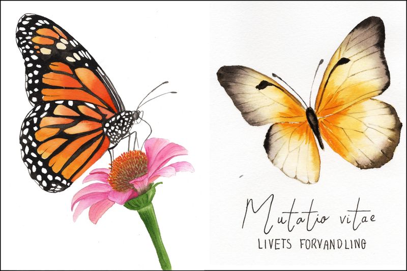 Digital kreativ workshop - artboxen Butterflies