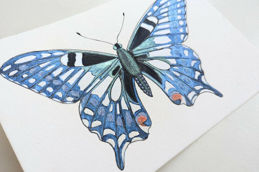 Swallowtail butterfly interference blue - video workshop med akvarel