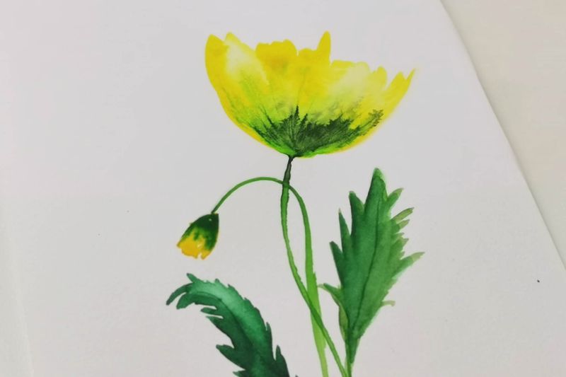 Akvarel blomst; Happy Flower