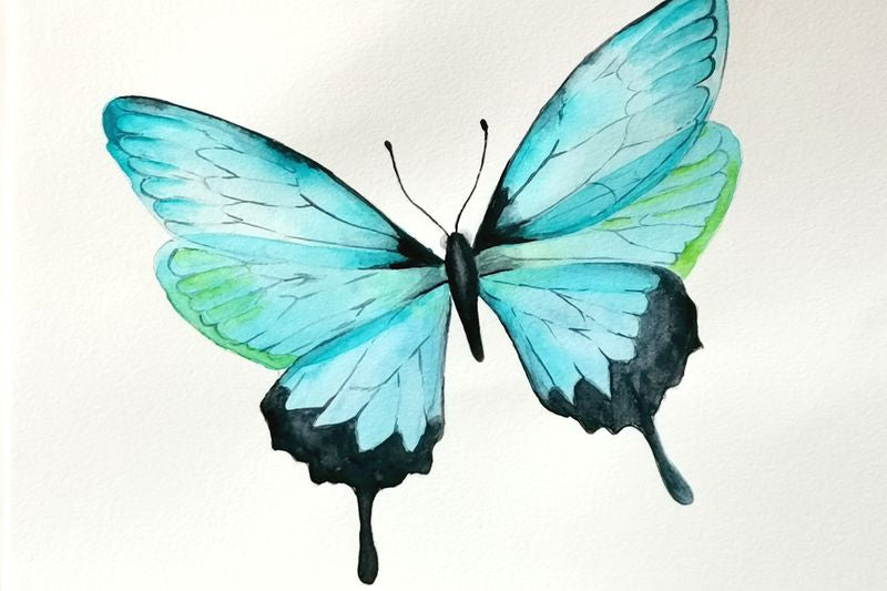 akvarel sommerfugl