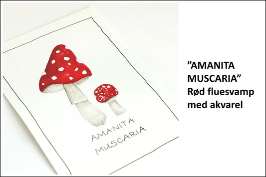 Creative hour - AMANITA MUSCARIA /RØD FLUESVAMP