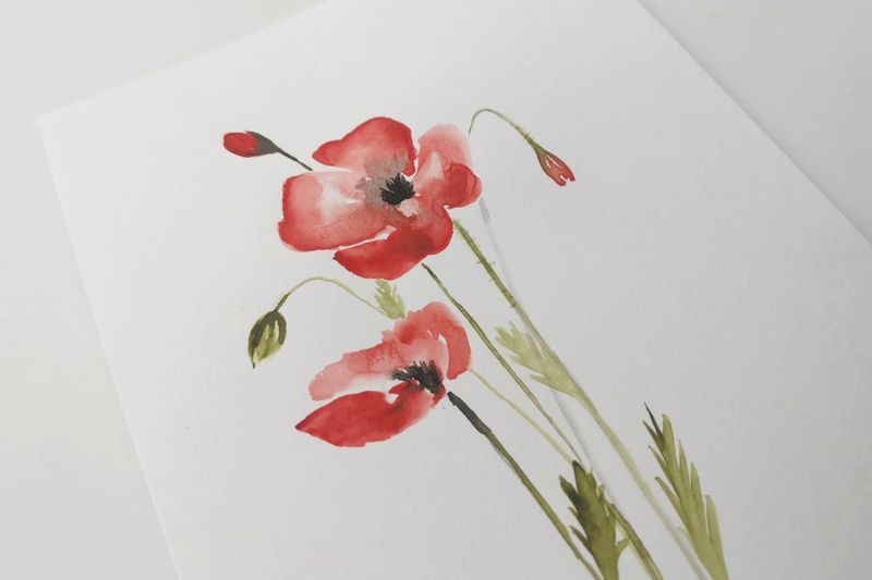 Poppies - DIY akvarelkit med valmuer
